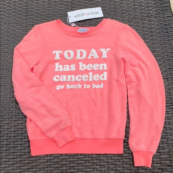 Wildfox Other - Wildfox Bright Coral Graphic Sweatshirt
